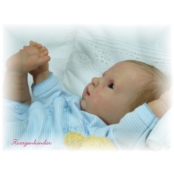 Aaron - Kit de Linde Scherer