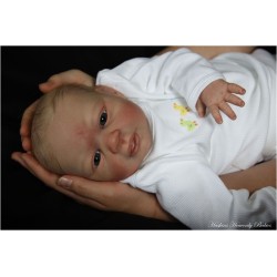 Merle - Kit de Jannie de Lange