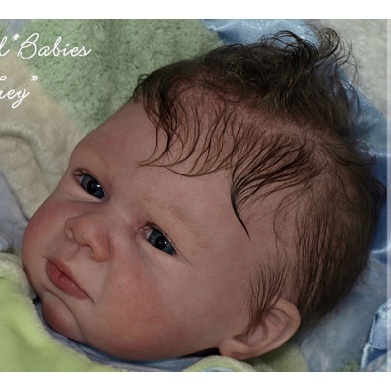 Trey - Kit de Michelle Fagan