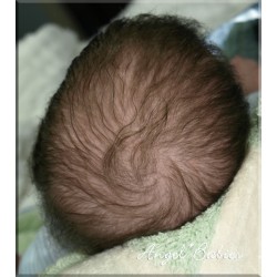 Trey - Kit de Michelle Fagan