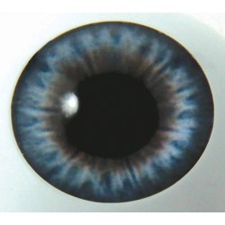 Yeux Victorian Blue