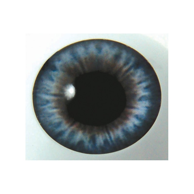 Yeux Victorian Blue