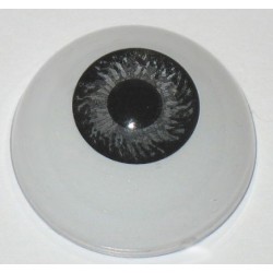 Yeux Gris - EU