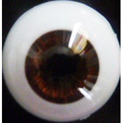 Yeux rond glastic brown