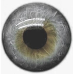 Yeux cristal gris clair
