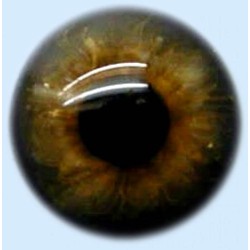 Yeux cristal bleu gris marron