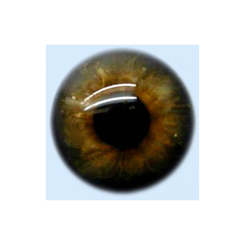 Yeux cristal bleu gris marron