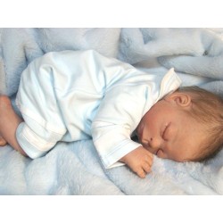 Frederik - Kit de Ros Johnson 