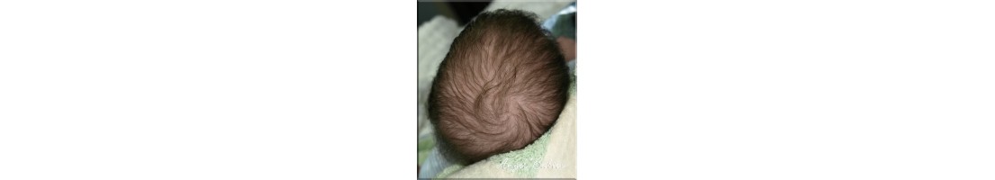 CHEVEUX - CILS - YEUX